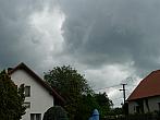 Třibřichy